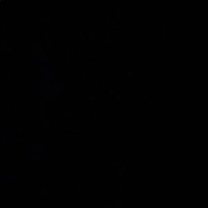 Meet your Posher, Ricardo